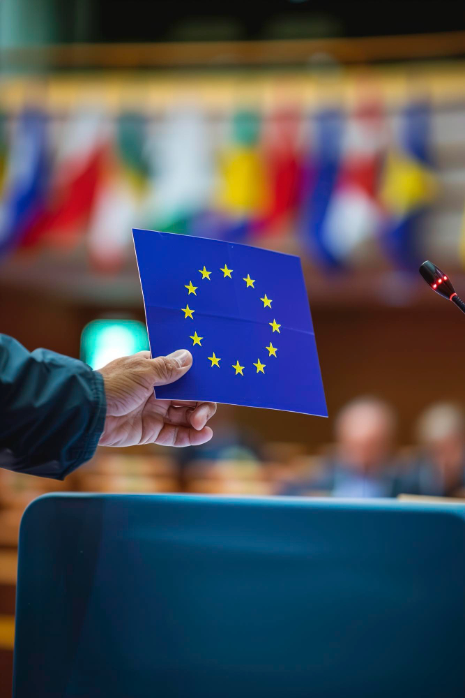 Creare de site-uri web pentru candidați la alegerile parlamentare